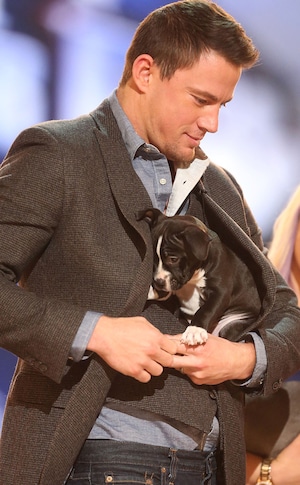 Ian Somerhalder Movies And Tv Show News And Videos E News